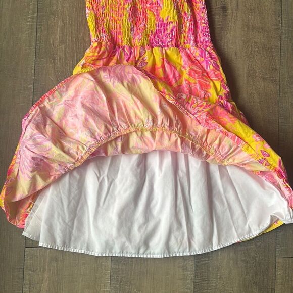 Lilly Pulitzer Dress - Picture 4 of 5